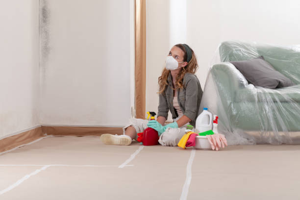 Reliable Attic Mold Remediation contractor in Emmitsburg, MD by 24 Hour Mold Removal