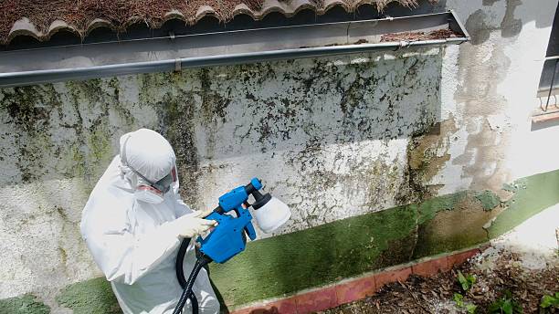 Top rated local Attic Mold Remediation specialists in Emmitsburg, MD